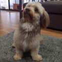 Photo of Bentley