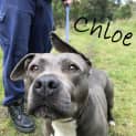 Photo of Chloe