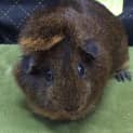 Photo of Jet