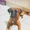 Photo of Cleo