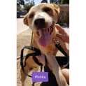 Photo of Mishka