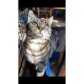 Photo of Diamond