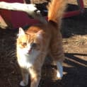 Photo of Hunter