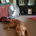 Photo of Zeus