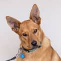 Photo of Morty