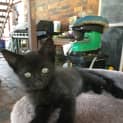 Photo of Spike