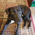 Photo of Mase