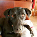 Photo of Mase