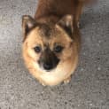 Photo of Bubbles