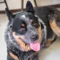 Photo of Alfie5