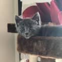 Photo of Nevaeh ๐