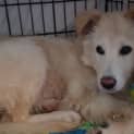 Photo of Wednesday Aka Daisy