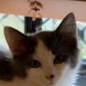 Photo of Gladys