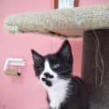Photo of Surprise!