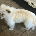 Photo of Thea
