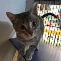 Photo of Timothy