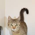 Photo of Jazz