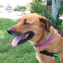 Photo of Melli