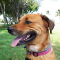 Photo of Melli