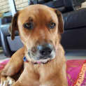 Photo of Melli