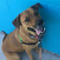 Photo of Melli