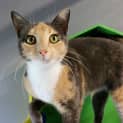 Photo of Missy