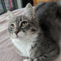 Photo of Sammy