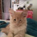Photo of Moet