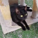 Photo of Sooty