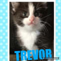 Photo of Trevor