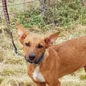 Photo of Maxie 