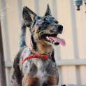 Photo of Mia