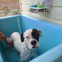 Photo of Holly