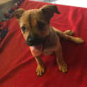 Photo of Narla