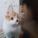 Photo of Otis