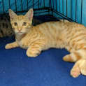 Photo of Ed