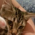 Photo of Penelope