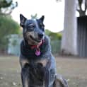 Photo of Molly
