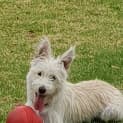 Photo of Lilly