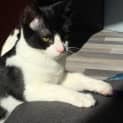 Photo of Elwood Located In Preston