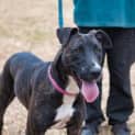 Photo of Poppy ** Adorable Girl Always Smiling **