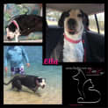 Photo of Ella