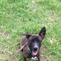 Photo of Abby ** Adorable Natured Girl **