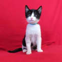 Photo of Calvin