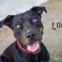 Photo of Luca