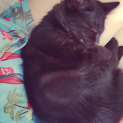 Photo of Mabel