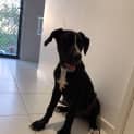 Photo of Pablo
