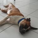 Photo of Misty