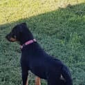 Photo of Lotti