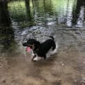 Photo of Max